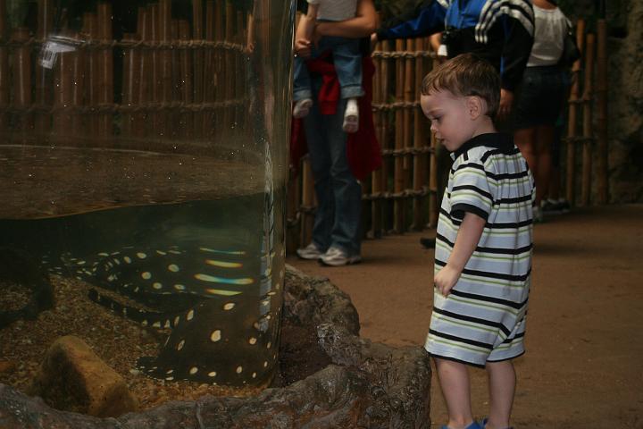 Grant's 2 year birthday054.JPG